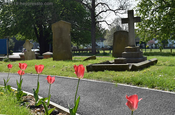 Aldenham churchyard with red tulips along the path