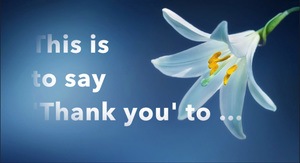White lily on mid blue background with text: This is to say 'Thank you' to... link to video