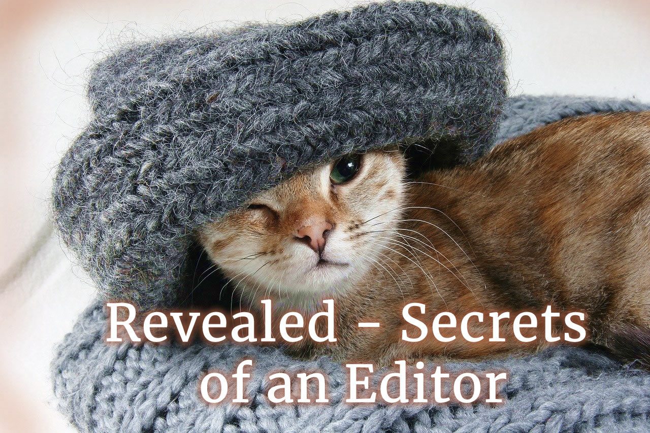 ginger cat under big grey woolen hat over one eye, sitting on chunky grey wool blanket. Text: Revealed - secrets of an editor