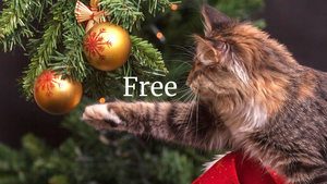 free cozy mystery cat reaching for bauble