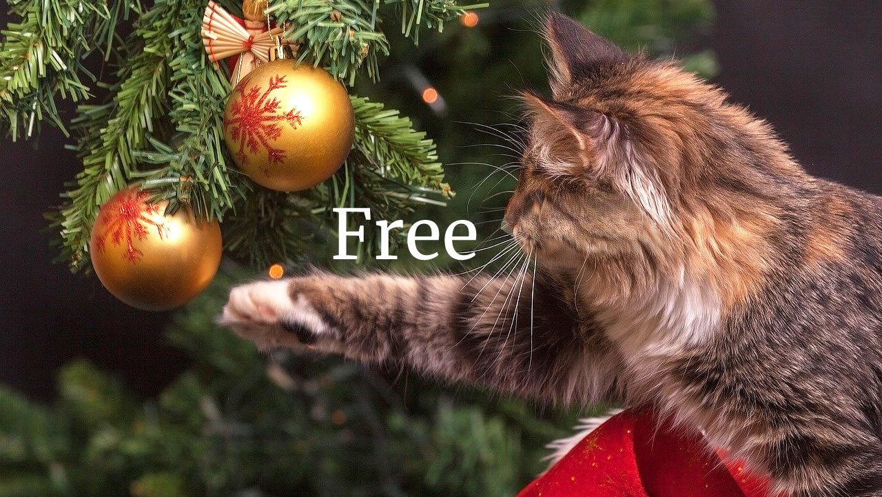 free cozy mystery cat reaching for bauble