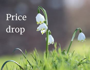 Snow drop with text: Price drop