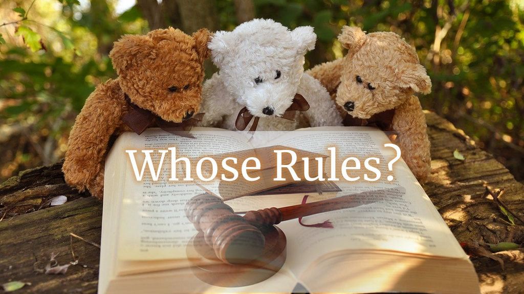 Whose Rules? Three teddy bears looking at a book with gavel in the foreground
