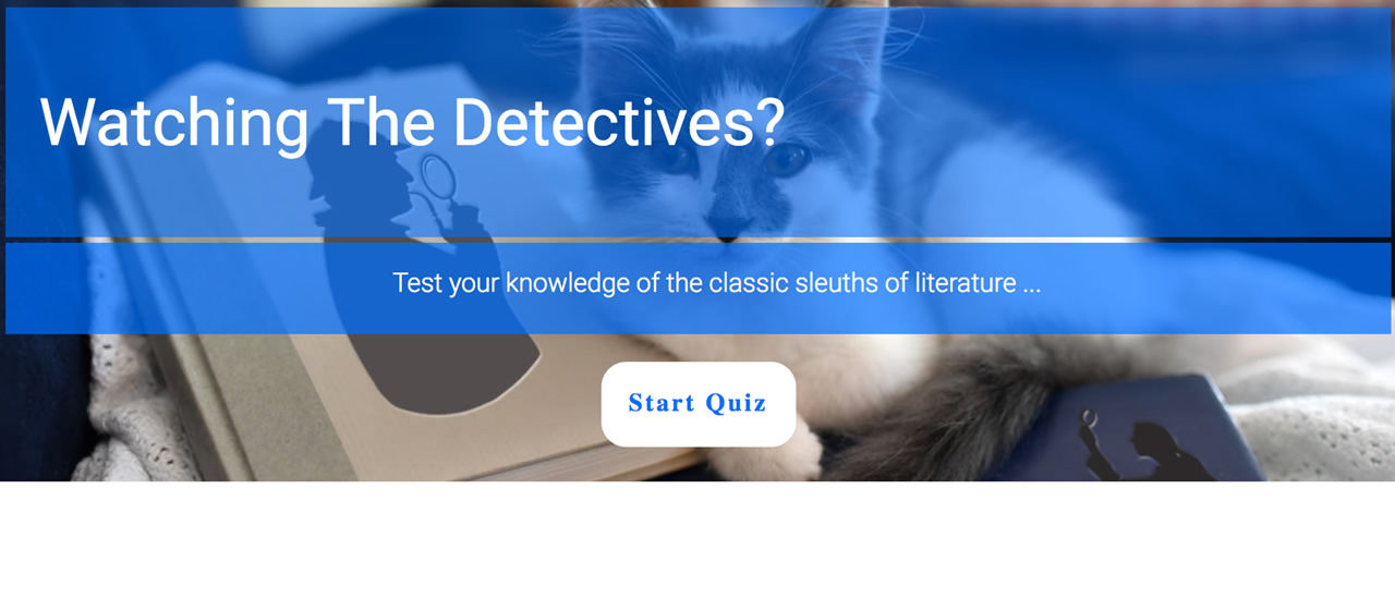 Detective Quiz link image