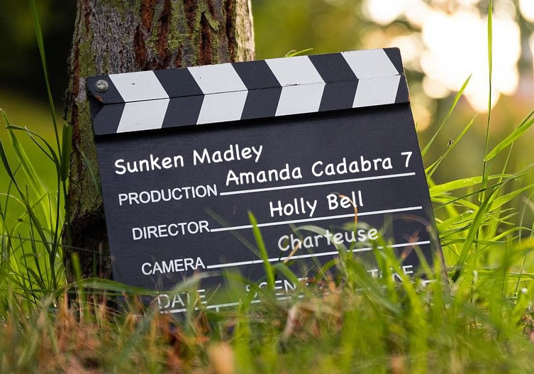 Clapperboard leaning against a tree