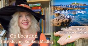 Holly Bell, foot with daisy between the toes and Cornish coast with Godrevy lighthouse in the distance. Text: On Location - Introducing Sunken Madley, Last Day of Cornish Language Offer and the mystery of the toe - solved