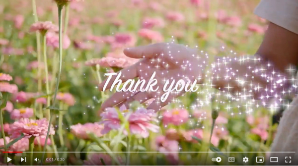 Click to go to Thank You video. Image of a woman's hand touching pink flowers in a field of them.