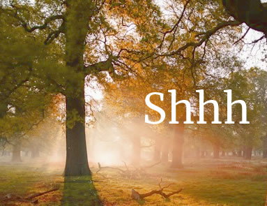 Golden light coming through trees. Text: Shhh ...
